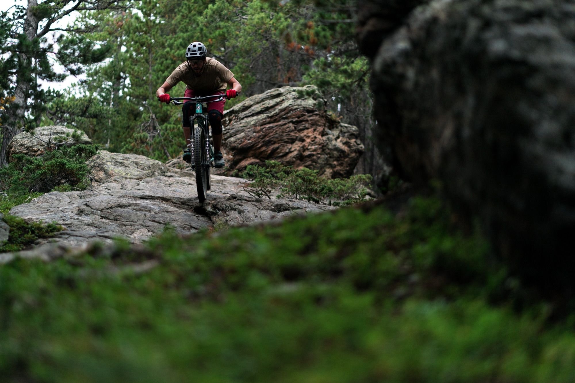 A mountain biker rolling down a granite slab through pine trees